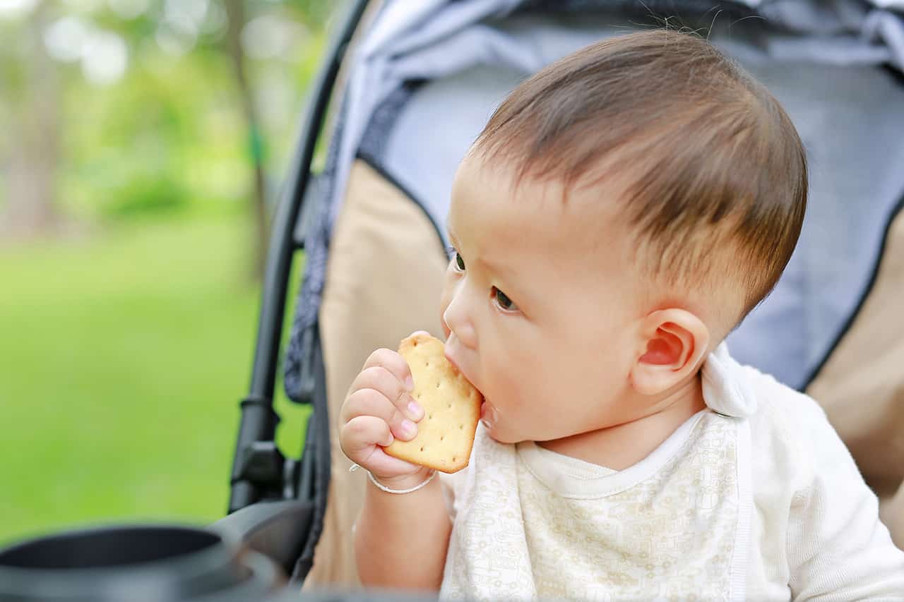 赤ちゃんせんべいとは 普通のせんべいとの違いや あげるタイミングについて解説 Fam S Baby
