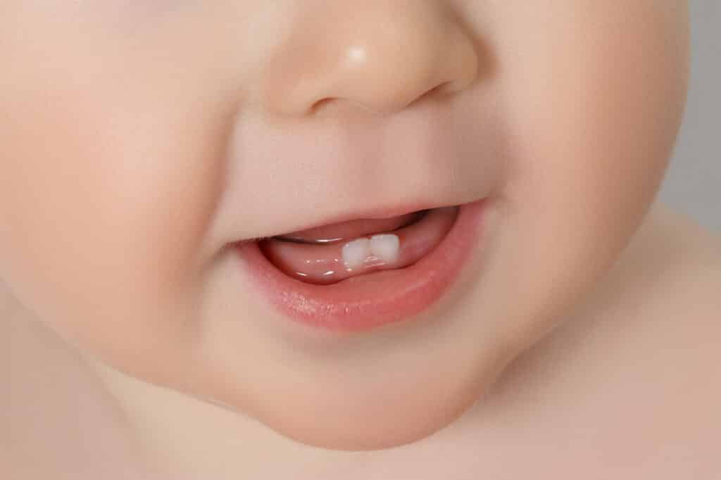 赤ちゃん 歯 が 生える の は いつ
