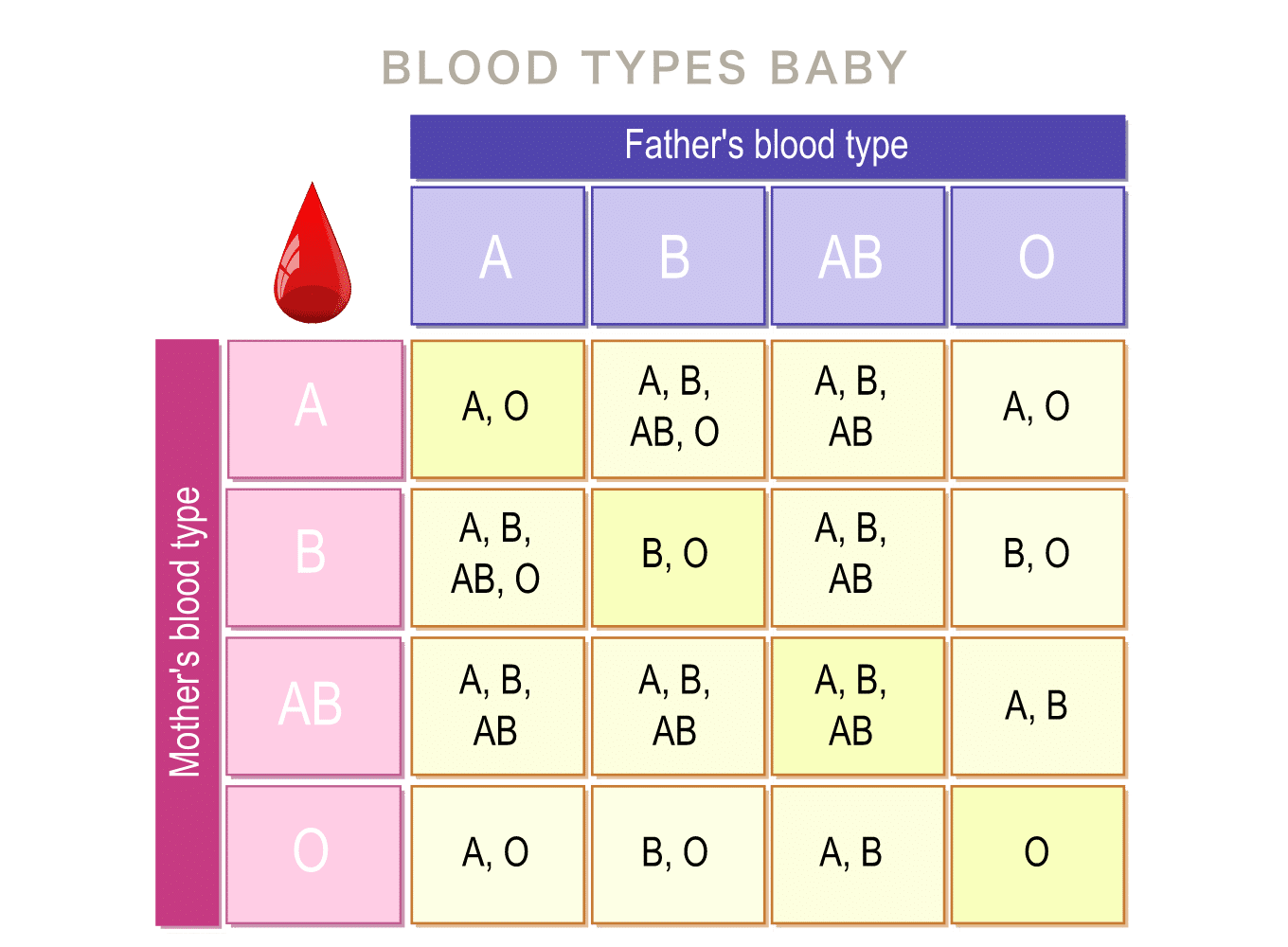 両親の血液型からわかる赤ちゃんの血液型