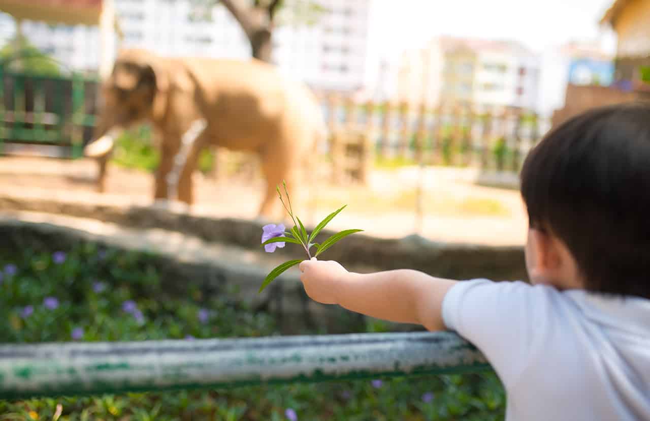 赤ちゃんはいつから動物園に行っていいの 注意すべきポイントも解説 Fam S Baby