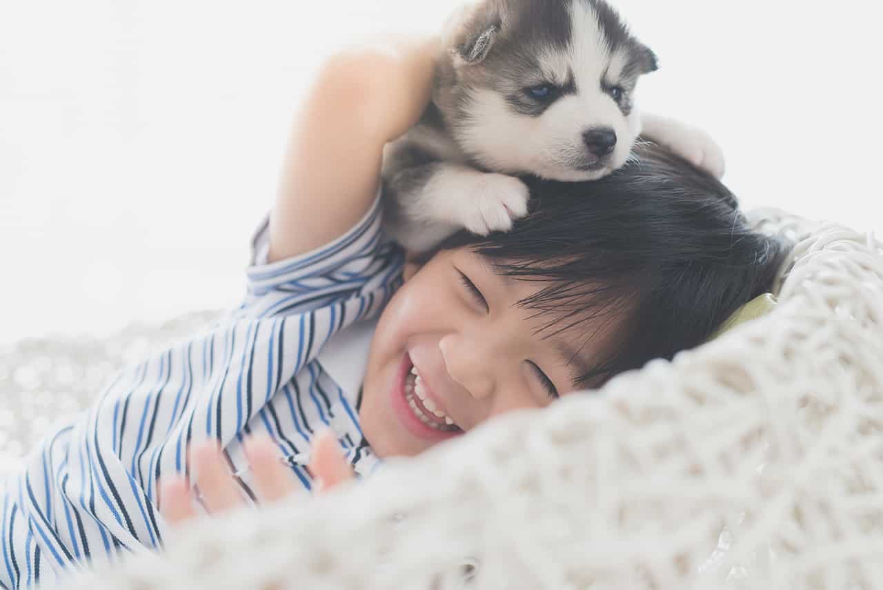 赤ちゃんと犬の暮らしにはどんなリスクがある リスクを減らす方法もご紹介 Fam S Baby