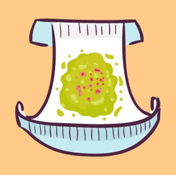 排泄(はいせつ)