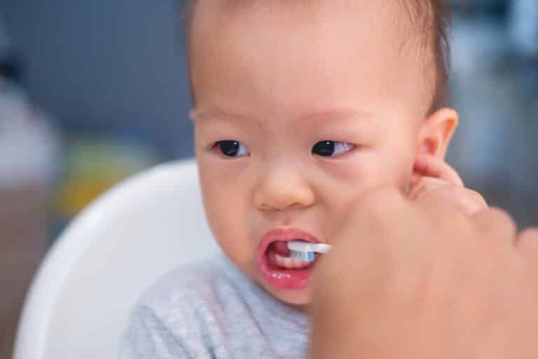 赤ちゃんの歯磨き粉はいつから使う？種類や選び方について解説 Fam's Baby