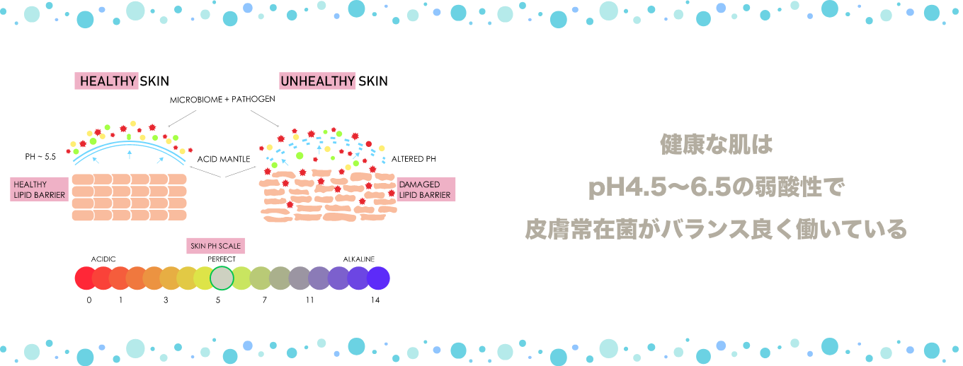 健康な肌はpH4.5～6.5の弱酸性で皮膚常在菌がバランス良く働いている